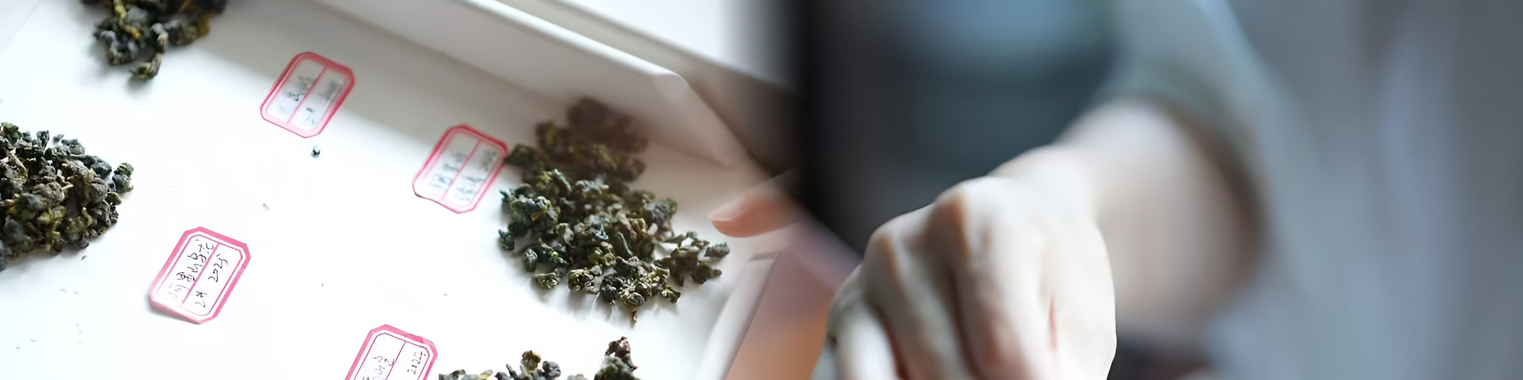 Shanghai Secret Garden Tea Experience -Near Pudong Airport - Thumbnail 11