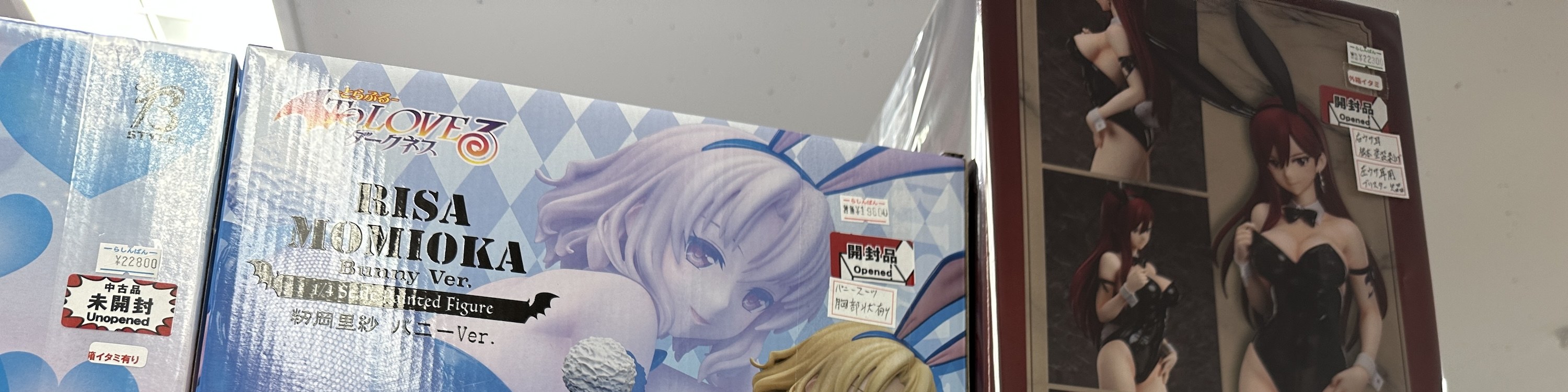Private Akihabara Retro Tokyo Anime Game Maid Cafe Tour w/ pickup