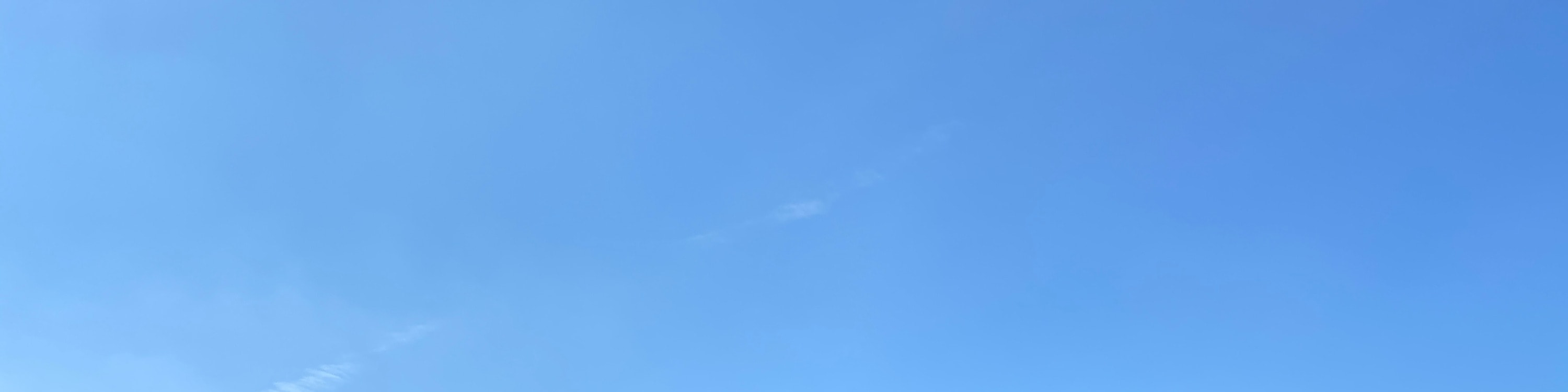 南投日月潭一日遊（含船票）