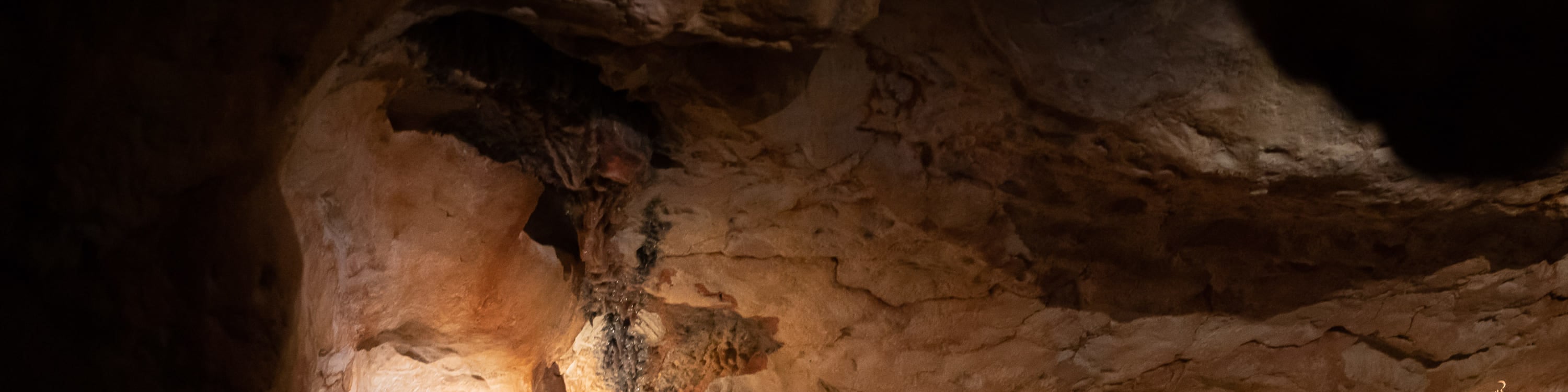 Cosquer Cave Ticket in Marseille