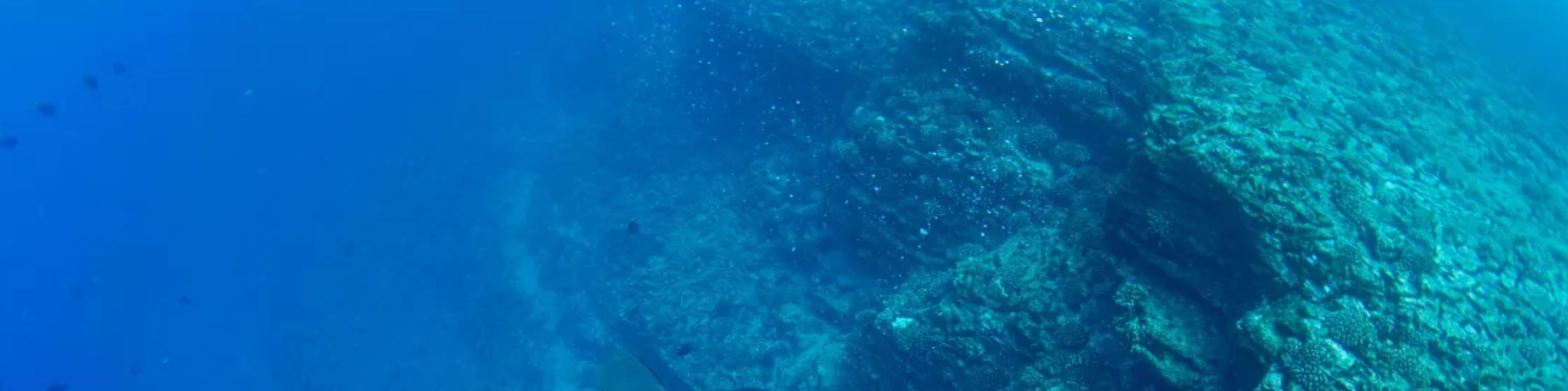 考艾島尼豪島與納帕利海岸船遊