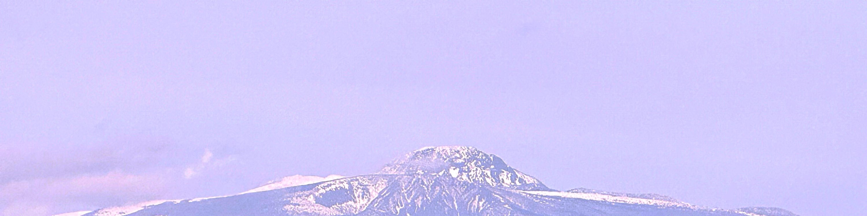 在雪白山景的漢拏山 (Mt. Halla) 襯托下，於 O'Sulloc Tea Farm 捕捉戲劇性的美麗瞬間。
