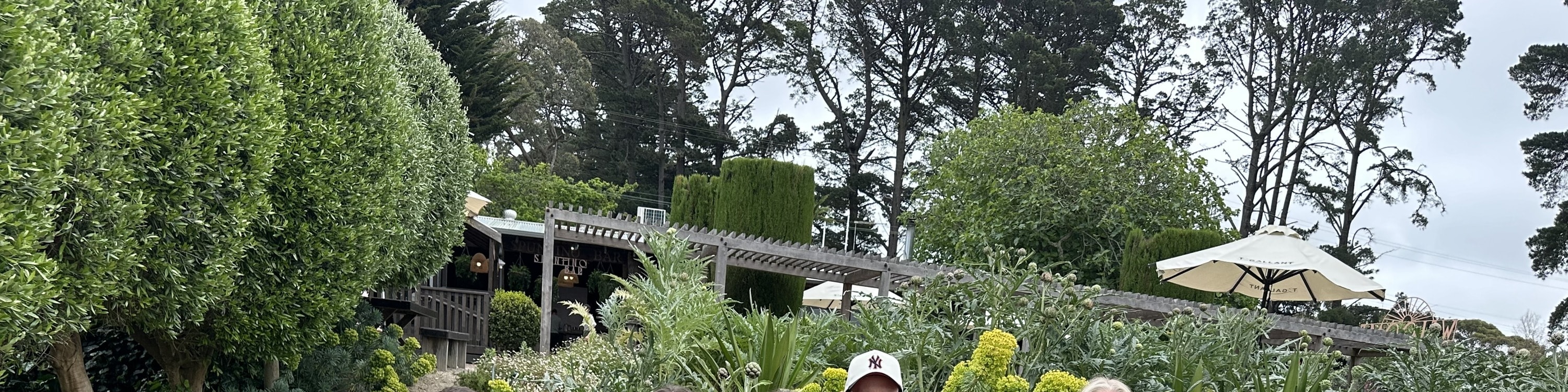 莫寧頓半島風景觀光和酒莊之旅
