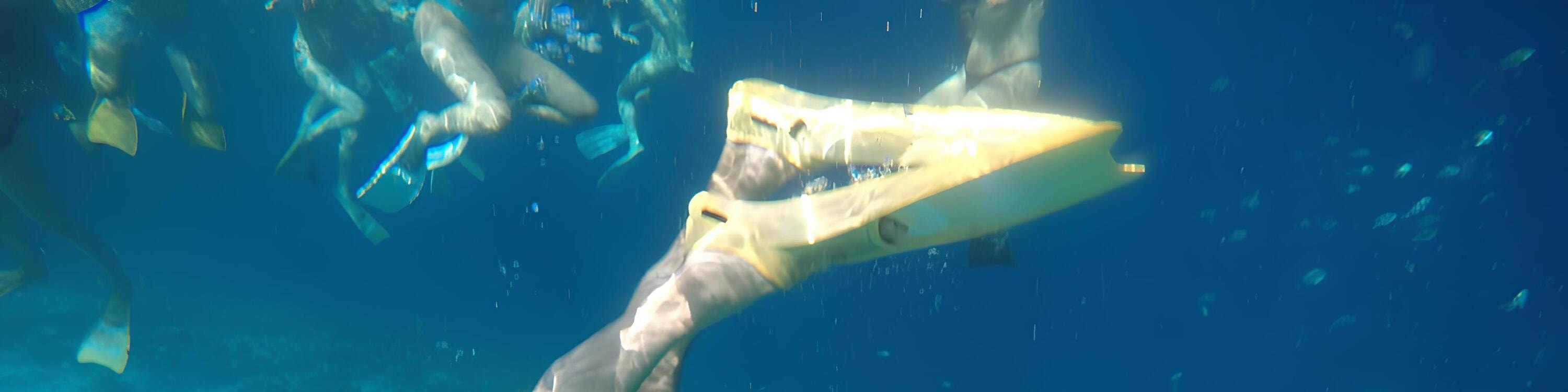 Sharing Snorkeling and Swimming with Turtles Boat Tour Gili Air