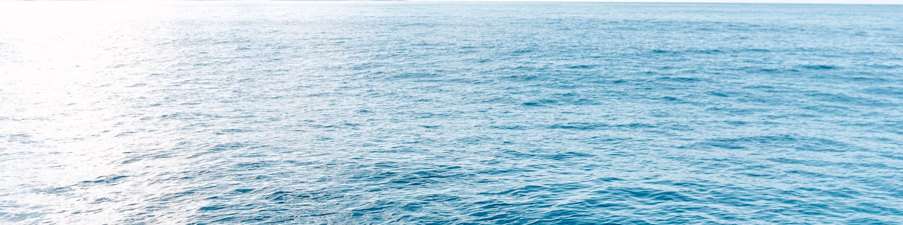 從空中俯瞰海豚在凱阿拉凱夸灣 (Kealakekua Bay) 清澈海水中滑翔的景象