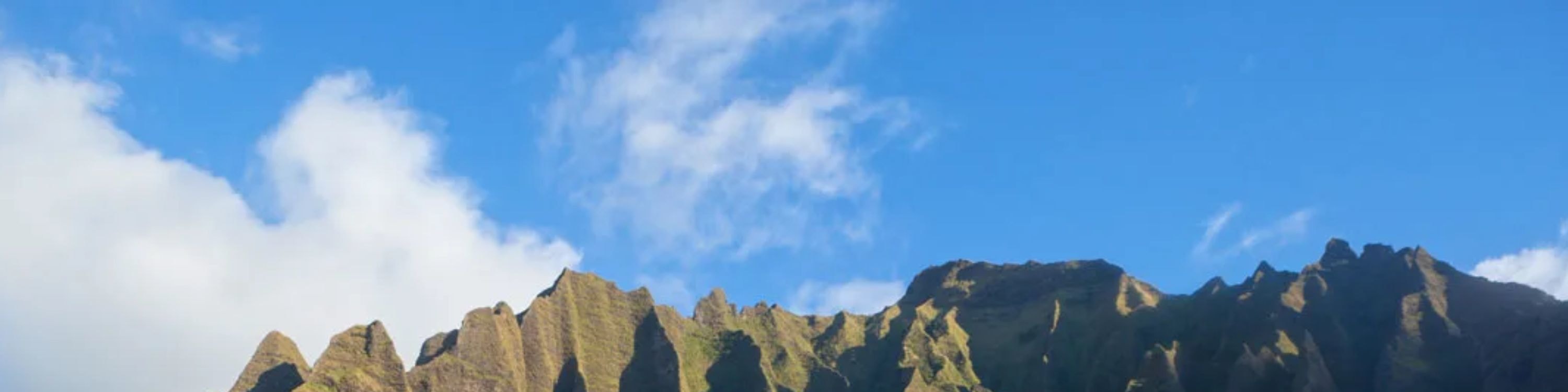 考艾島尼豪島與納帕利海岸船遊