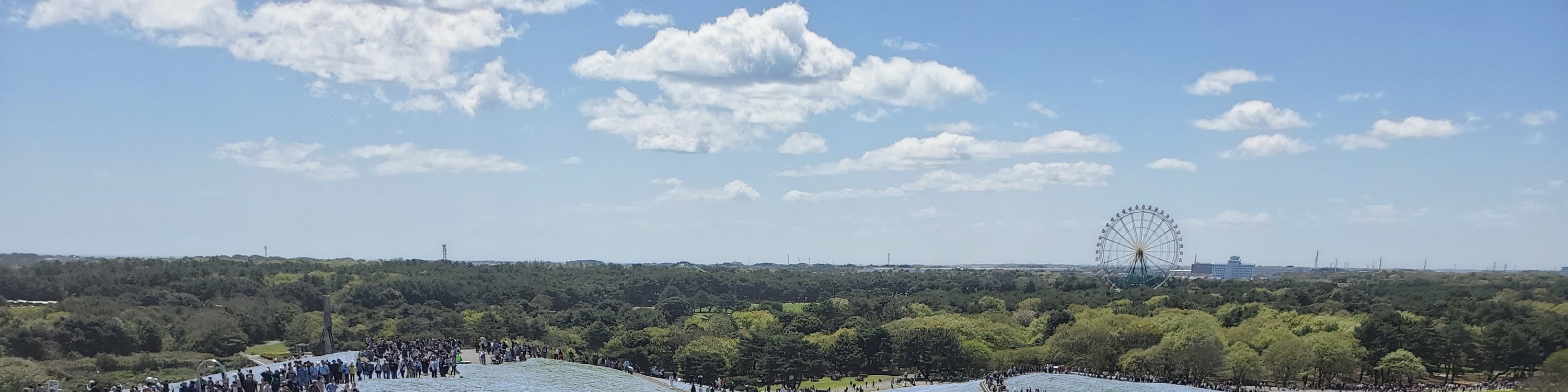 從新宿出發的足利花卉公園和日立海濱公園一日遊