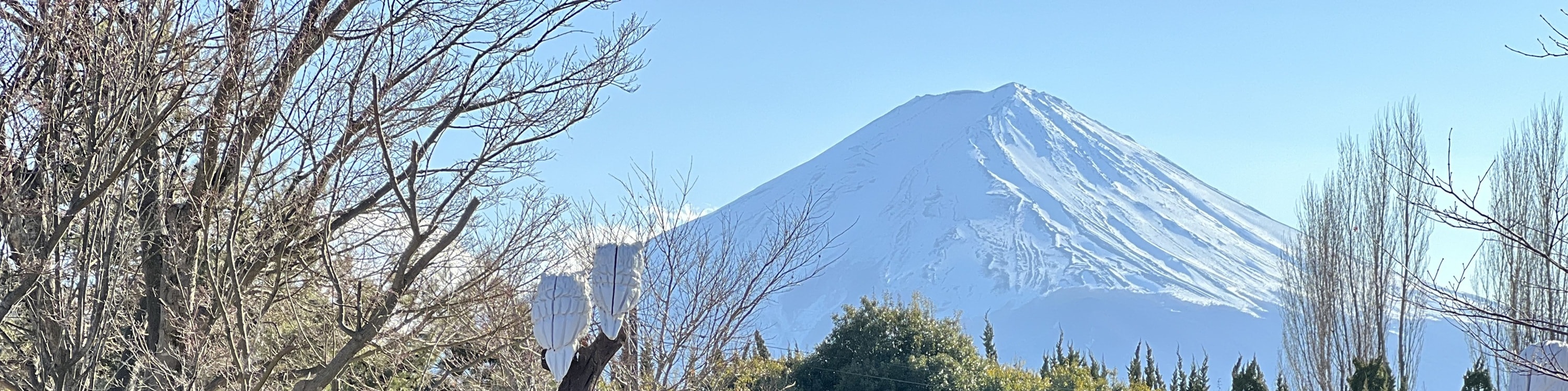 遊客可在此邊欣賞富士山美景,邊享用午餐。特別在晴朗天氣下,富士山倒映於藍天間,氣氛悠閒愜意。 遊客可在此邊欣賞富士山美景,邊享用午餐。特別在晴朗天氣下,富士山倒映於藍天間,氣氛悠閒愜意。
