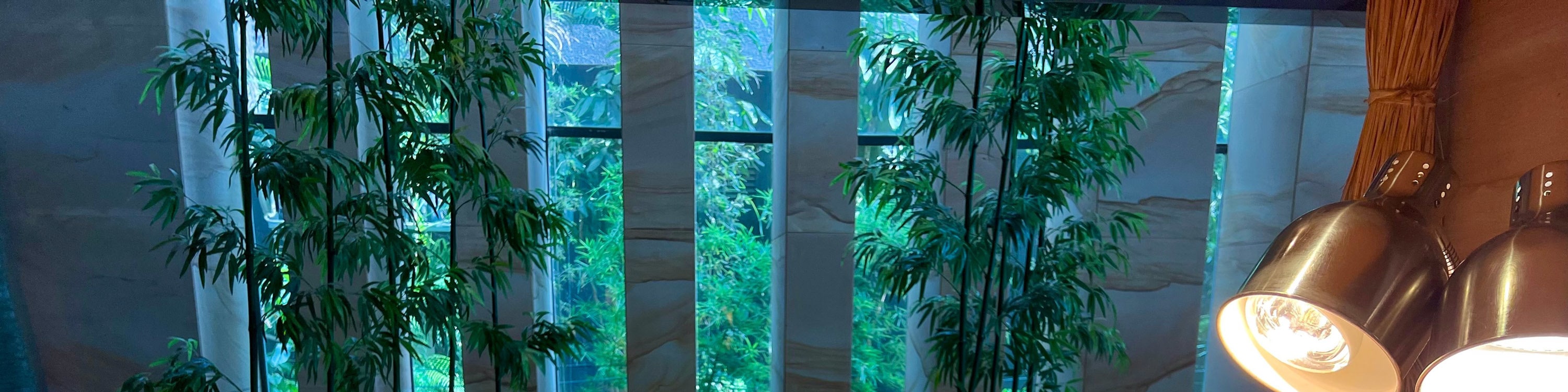 [Mid-year promotion] Hyatt Regency Dongguan Songshan Lake accommodation package | HYATT Group