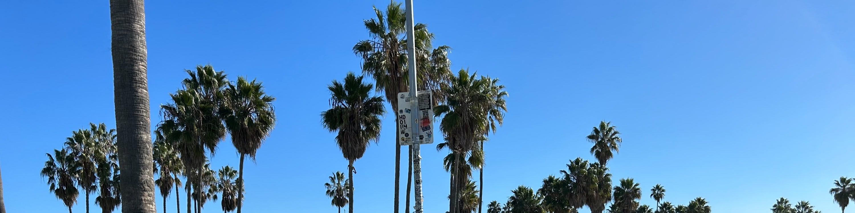 聖莫尼卡電動自行車租賃