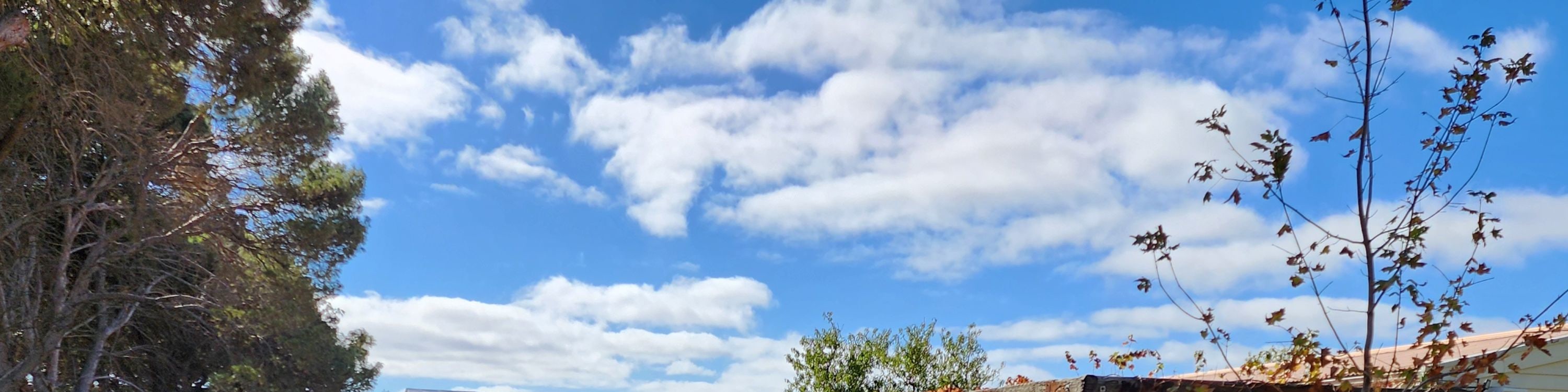 McLaren Vale All-Inclusive Wine Adventure: Tastings & Lunch