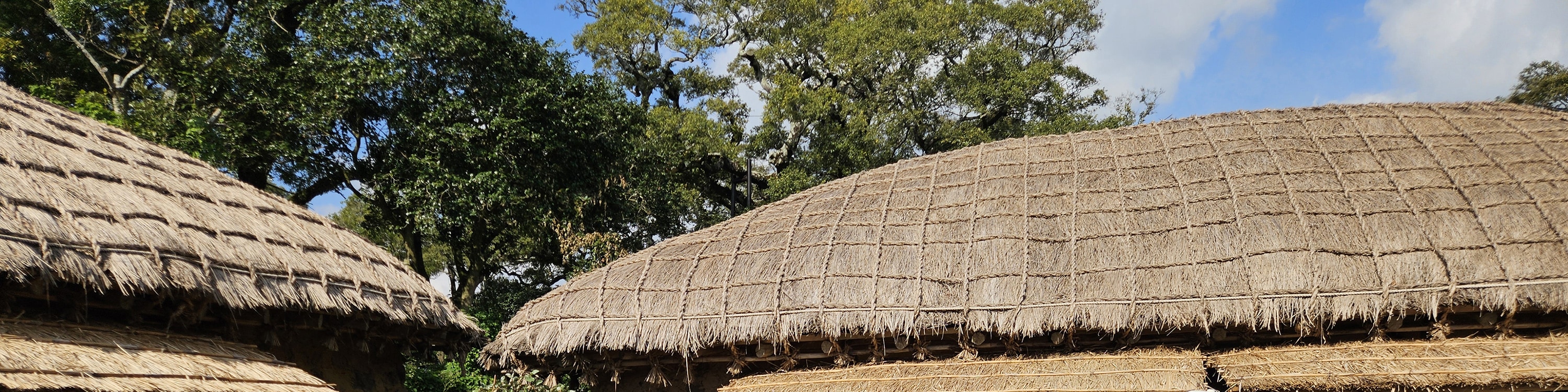 Step back in time at Seongeup Folk Village, where Jeju’s traditions live on.