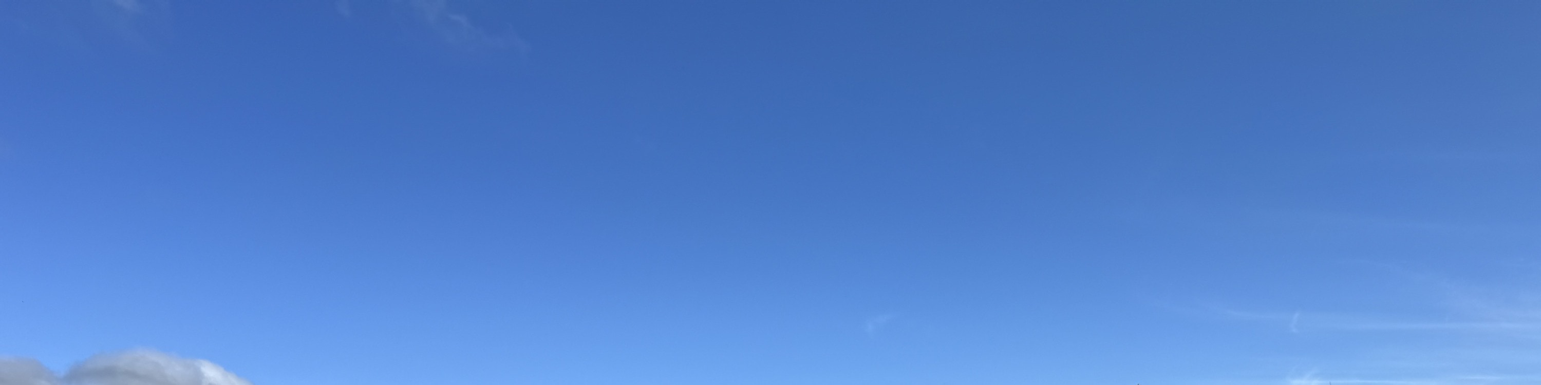 莫寧頓半島風景觀光和酒莊之旅