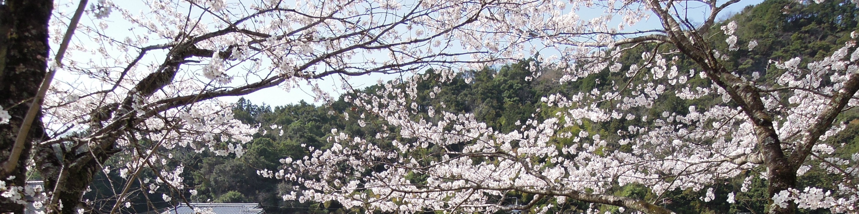 白川鄉 &  郡上八幡 & 飛騨高山一日遊（名古屋出發）