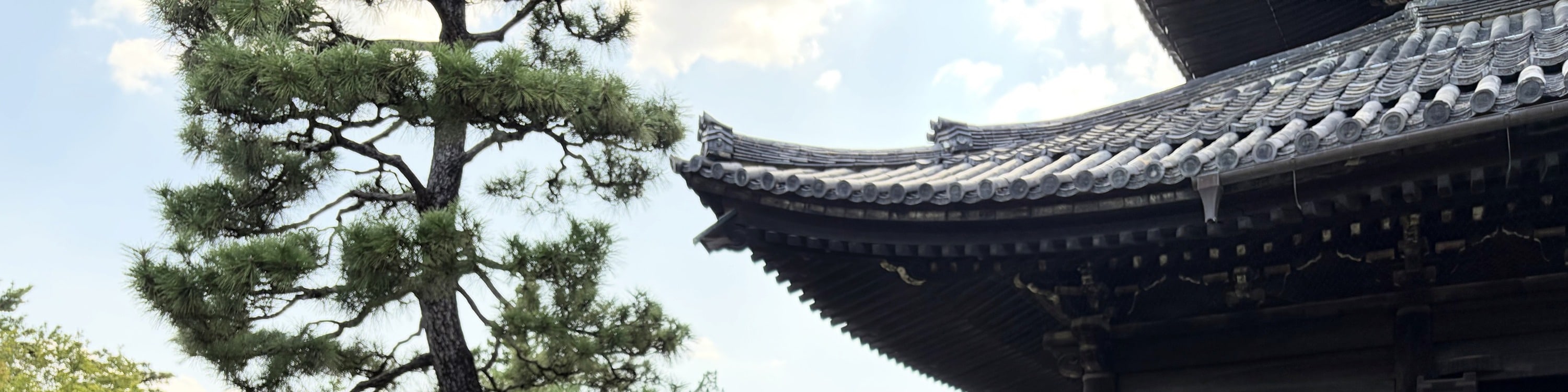 Kyoto Gion Geisha & Maiko Half-Day Walking Tour - Thumbnail 41