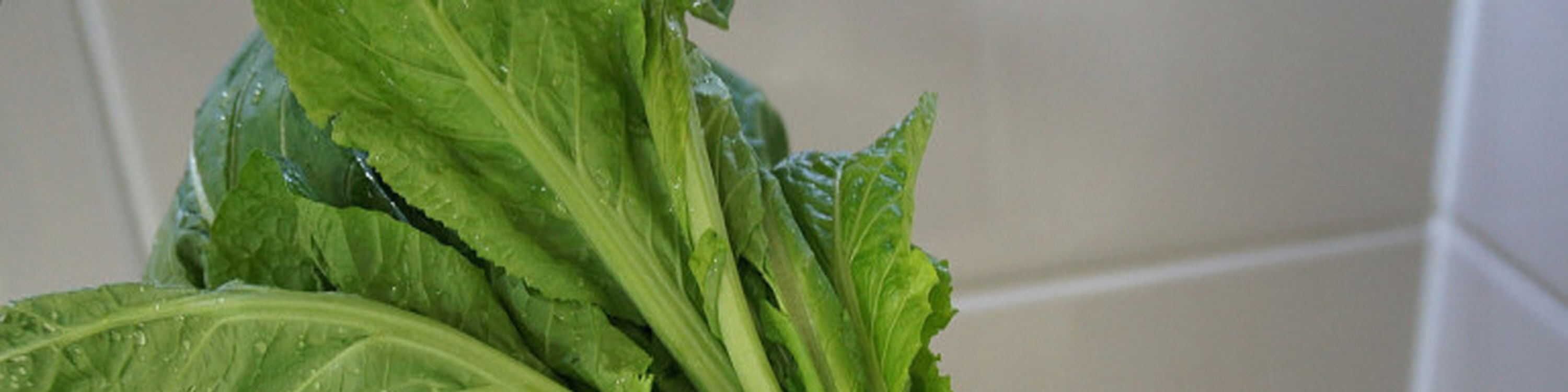釜山韓式蘿蔔泡菜製作體驗（海景環境）
