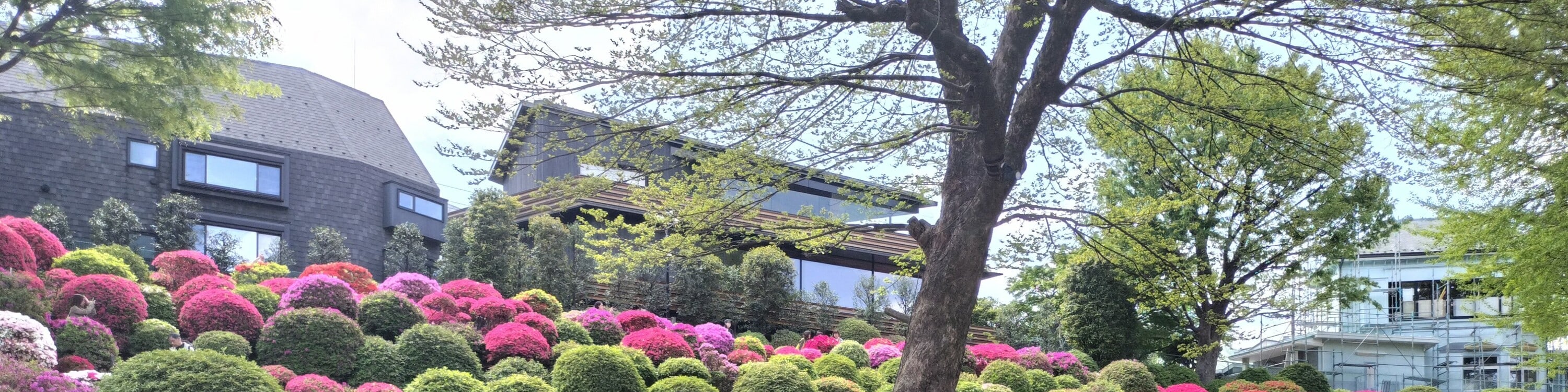 東京谷中徒步導覽
