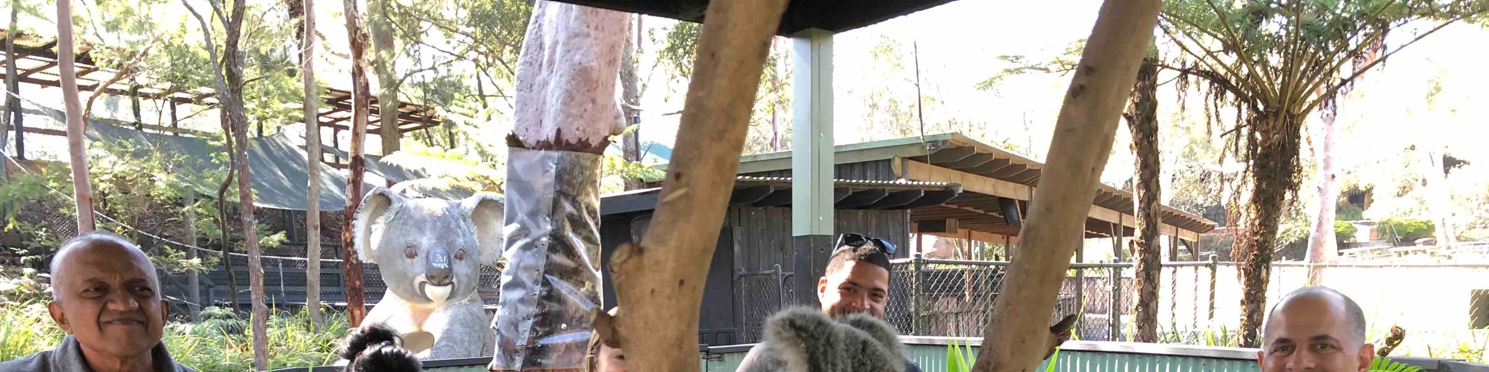 獵人谷葡萄酒 & 野生動物探索之旅