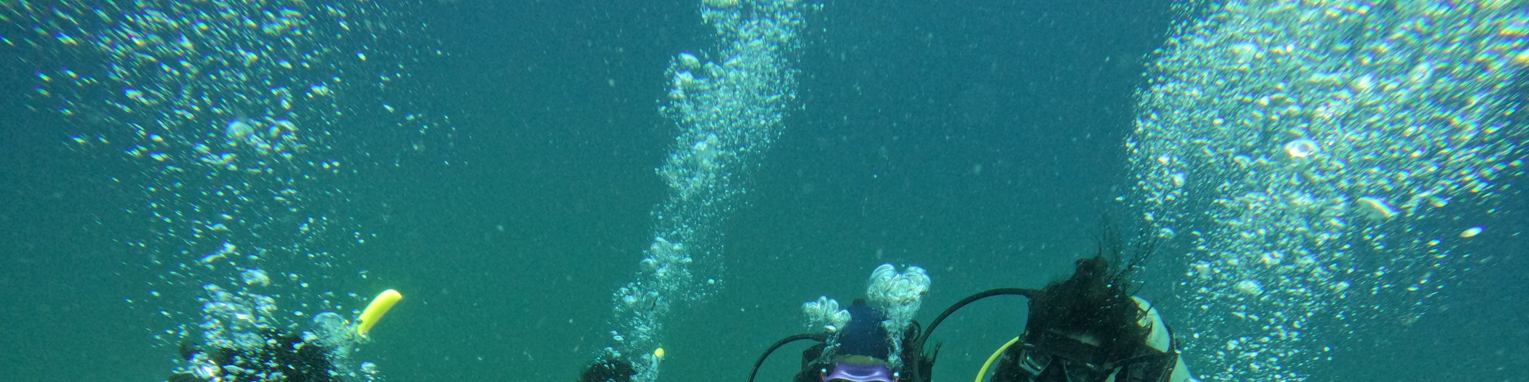 Join the dive tribe