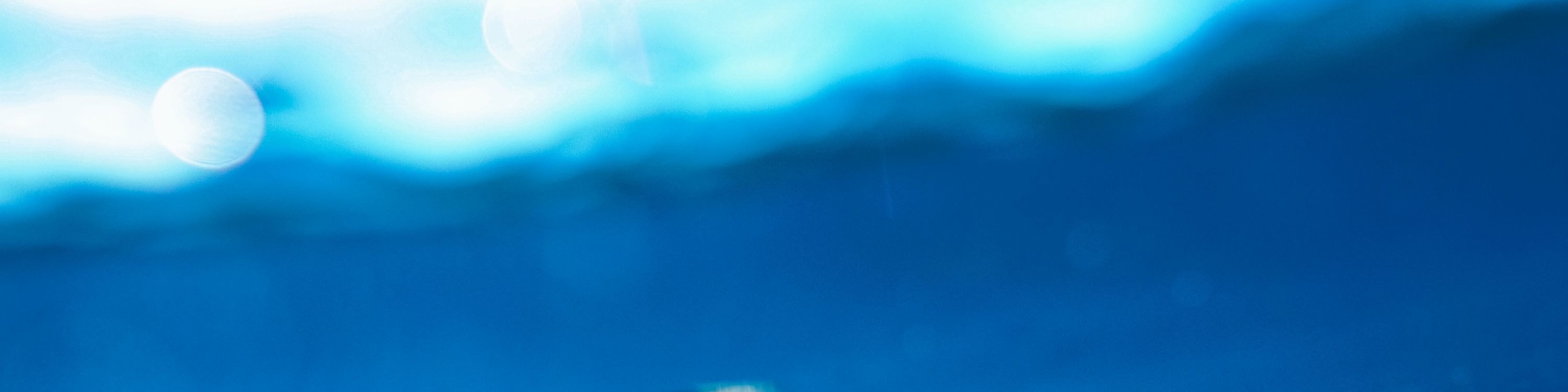 夏威夷綠蠵龜在清澈湛藍的海水中優雅滑行