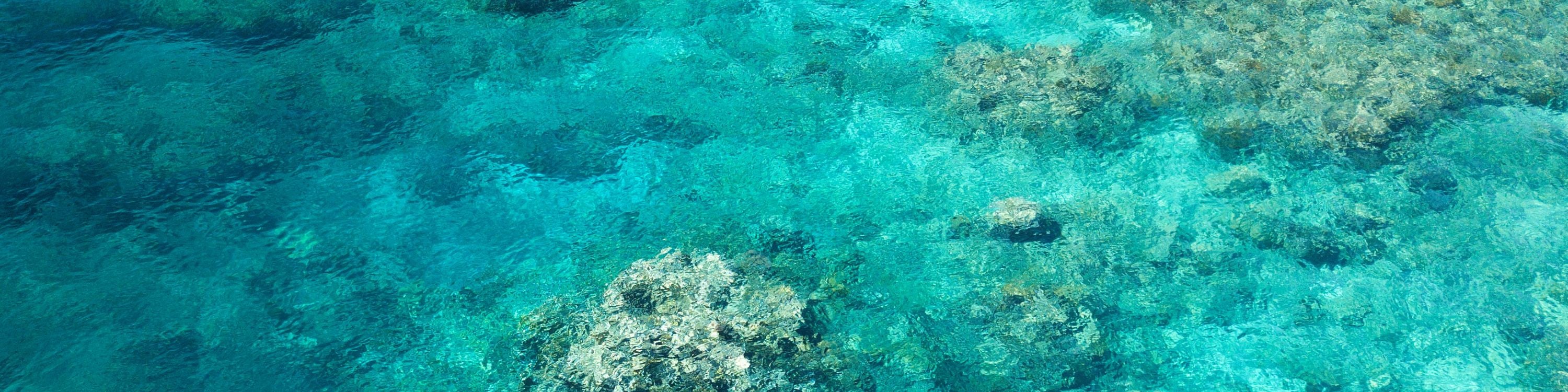 Half-Day Outer Reef Snorkel Experience from Cairns - Thumbnail 6