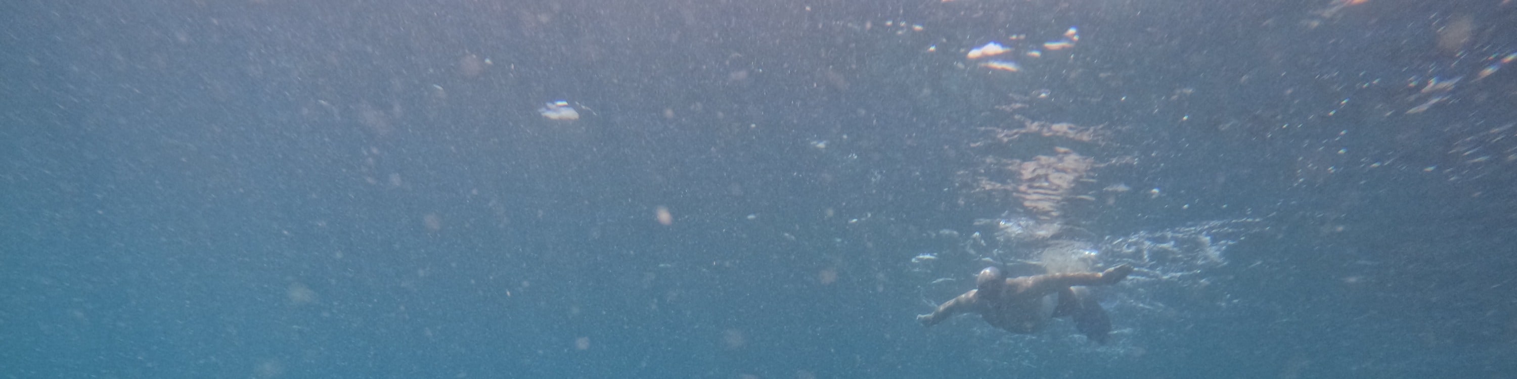Guided Snorkeling Day Tour in Fujairah with BBQ Lunch from Dubai