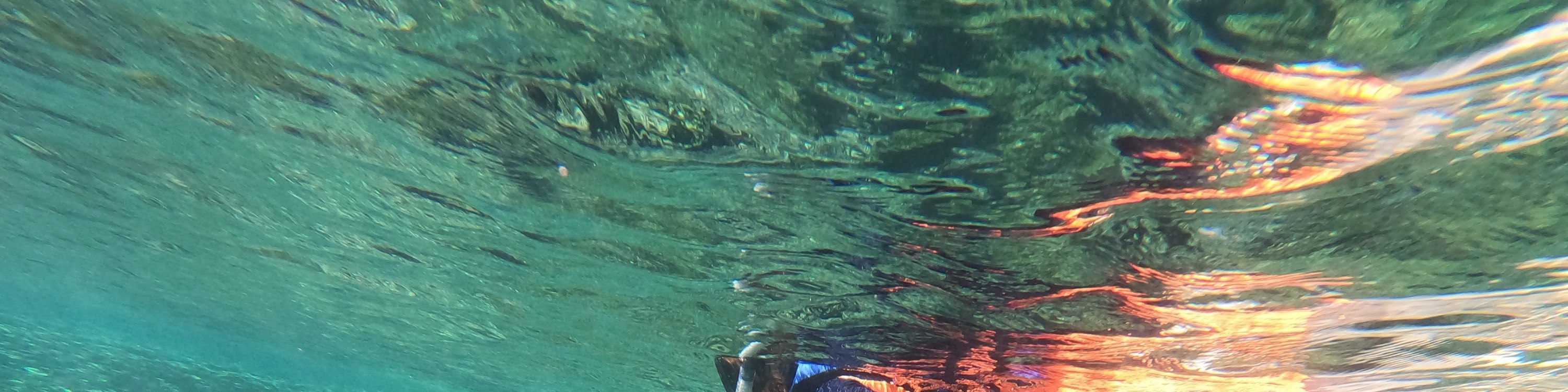 關島高級浮潛體驗