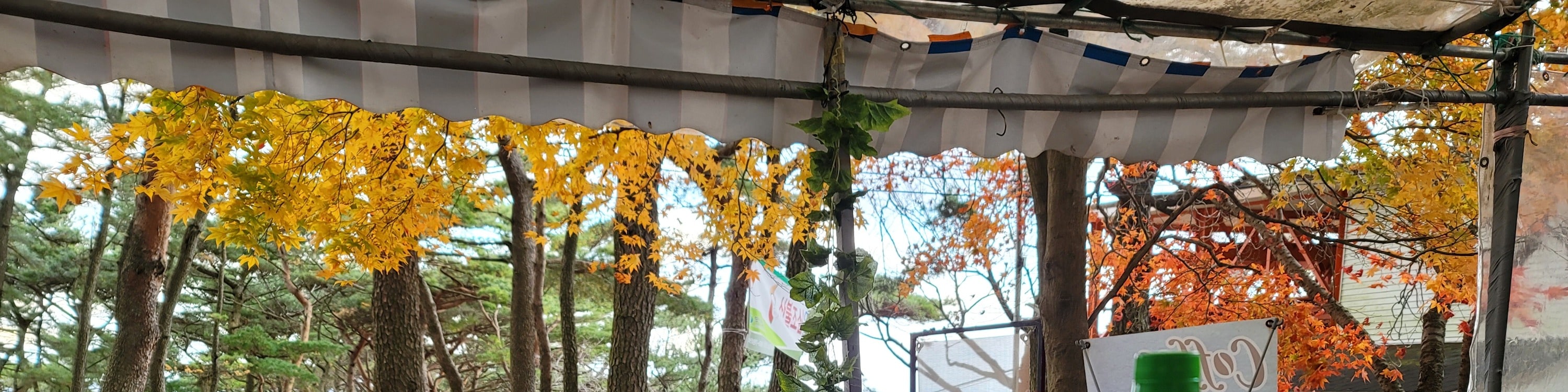 石佛寺 & 金井山炮臺徒步之旅