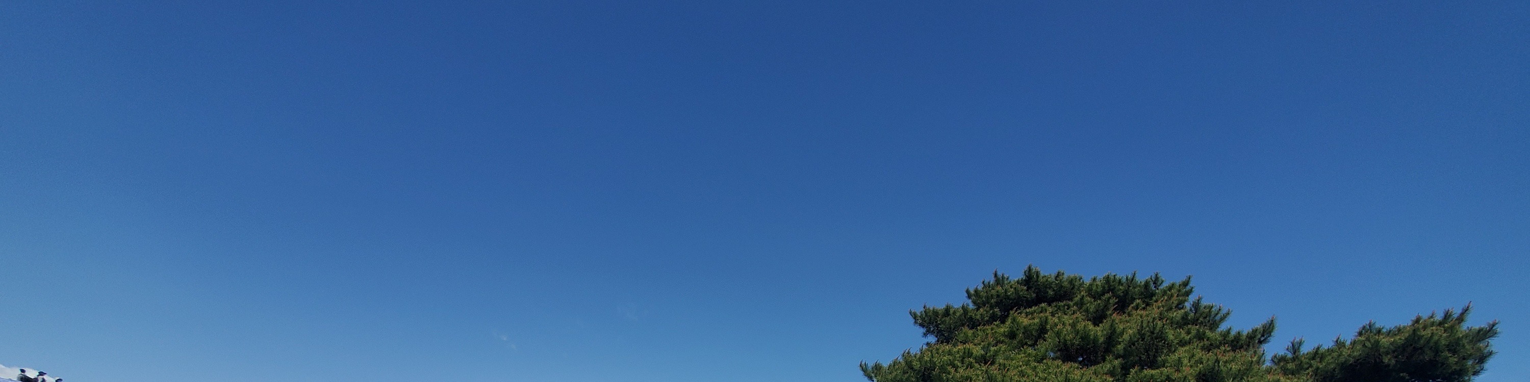 從新宿出發的足利花卉公園和日立海濱公園一日遊