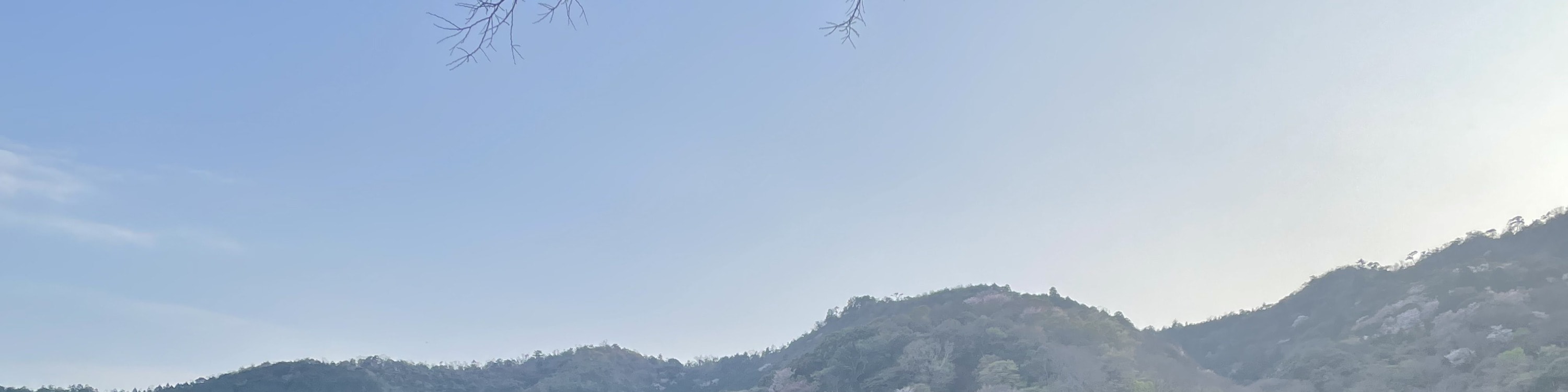 Arashiyama