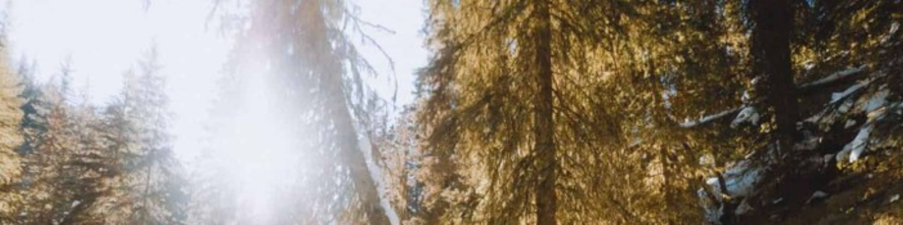 班夫強斯頓峽谷之旅 (Johnston Canyon Tour in Banff)