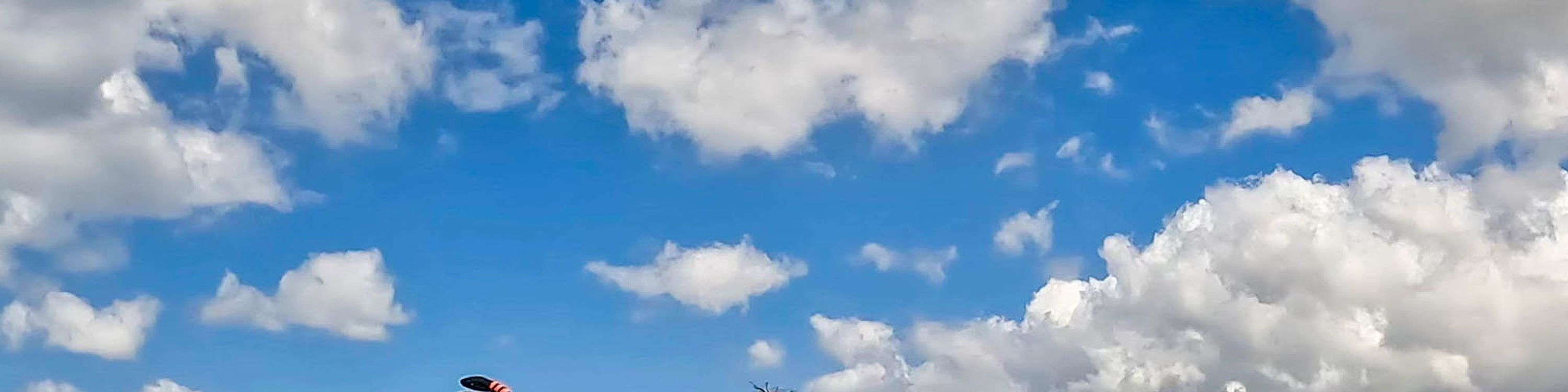 在清澈的海龜峽谷水域中，與夏威夷綠海龜一同浮潛