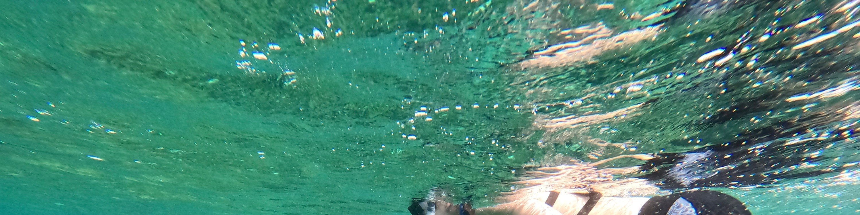 關島高級浮潛體驗