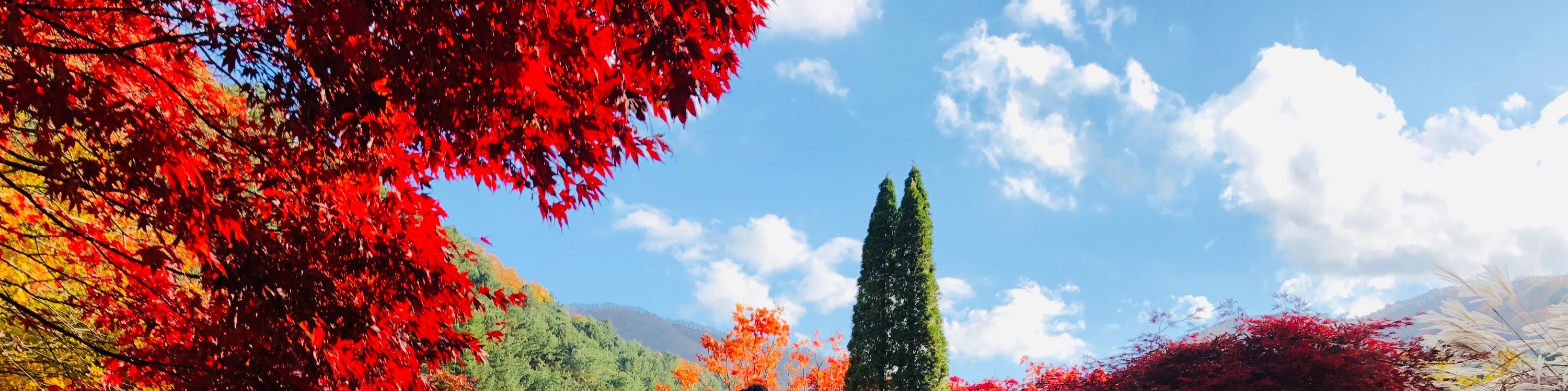 雪嶽山／纜車／草泥馬樂園／鐵道自行車／晨靜樹木園之旅