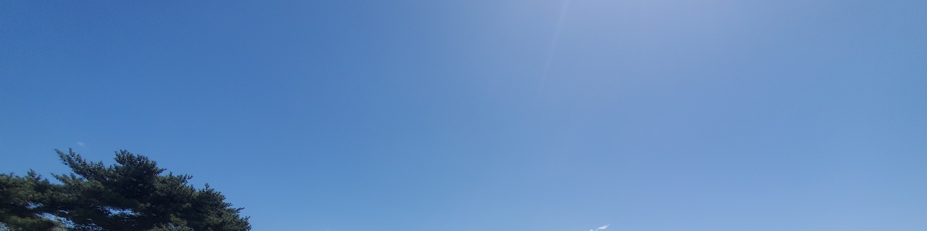 從新宿出發的足利花卉公園和日立海濱公園一日遊