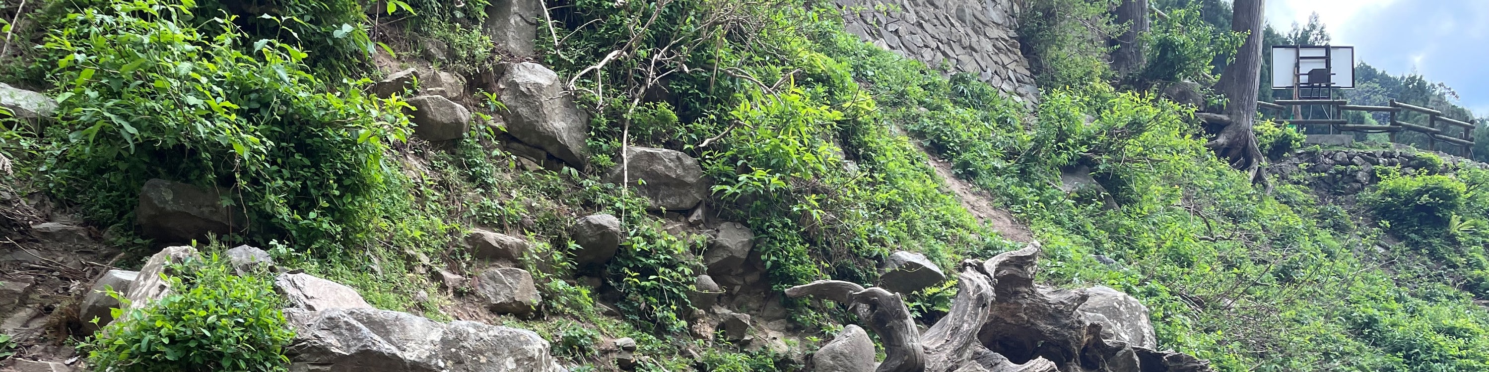 Snow Monkey Park & Shibu Onsen Private Tour