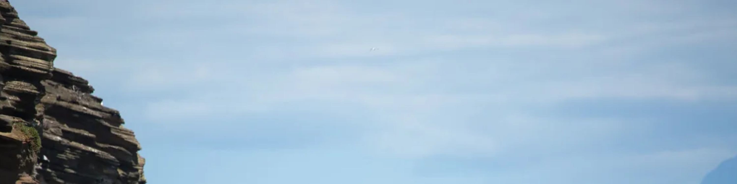 考艾島尼豪島與納帕利海岸船遊