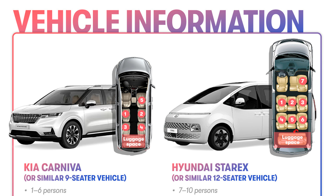 Seoul Car Rental with Driver to Everland with admission ticket