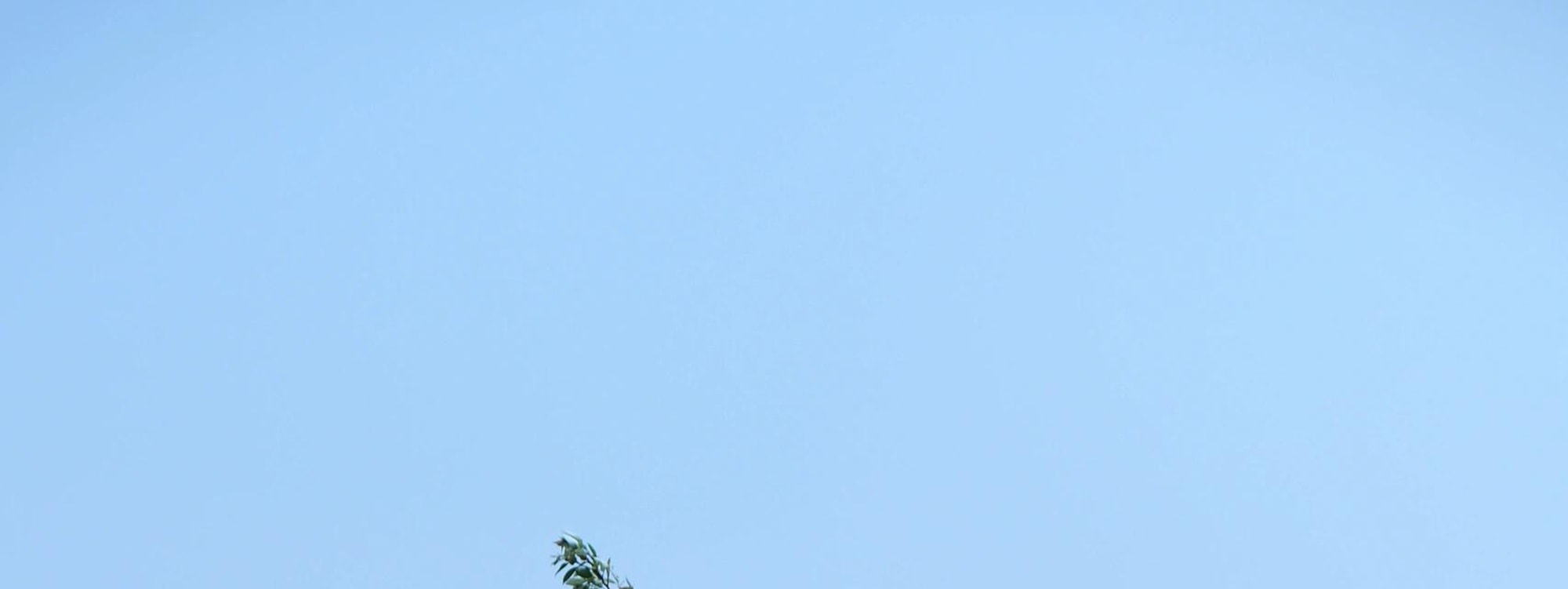 雲南撫仙湖純玩一日遊（撫海灣溼地公園+撫仙湖西岸紅咀+撫仙湖祿充風景區+粉色沙灘+筆架山+石鍋魚/銅鍋洋芋飯+雲南人的後花園+昆明往返）