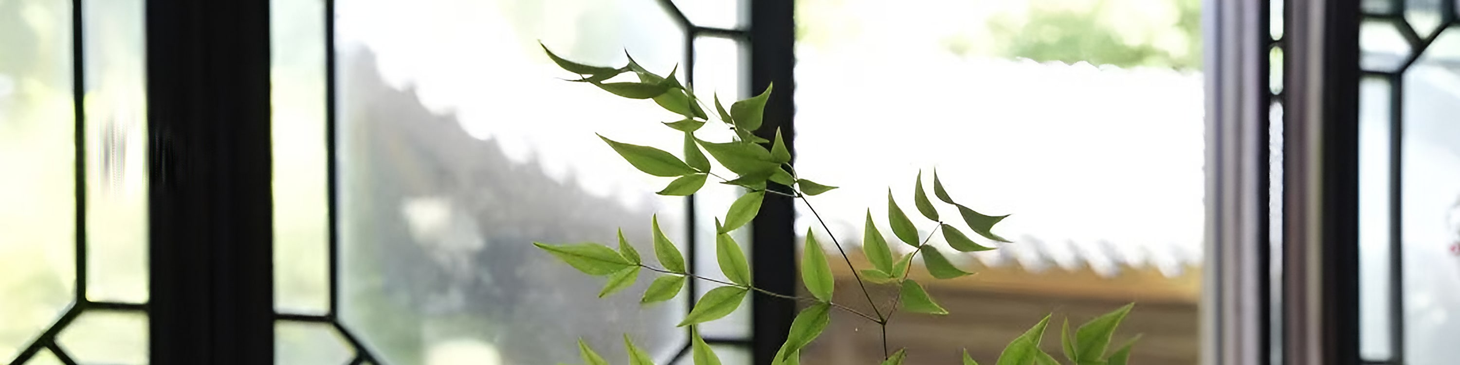 Shanghai Secret Garden Tea Experience -Near Pudong Airport - Thumbnail 27