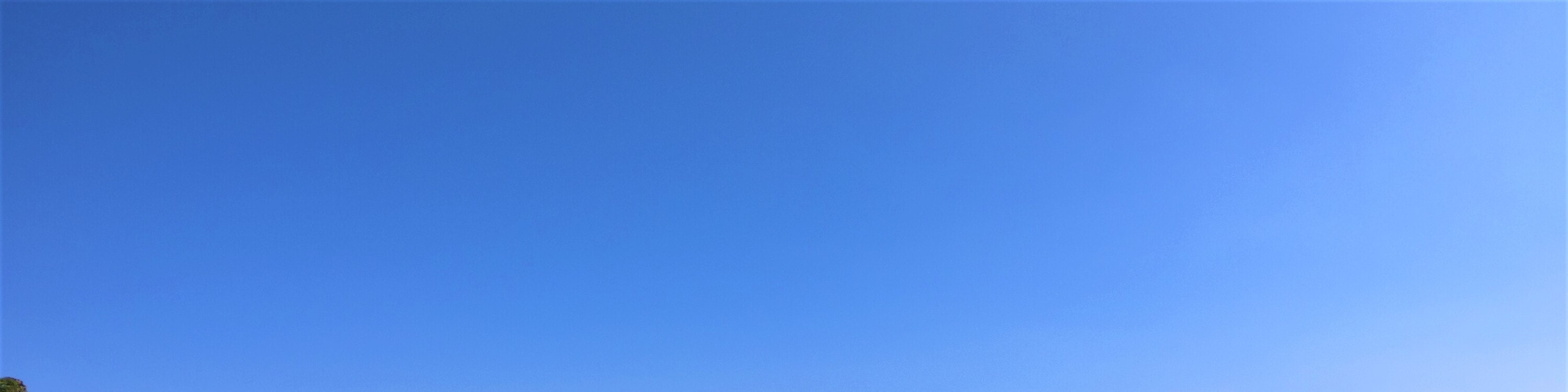 芭提雅：三島雙體船遊覽（含自助午餐）