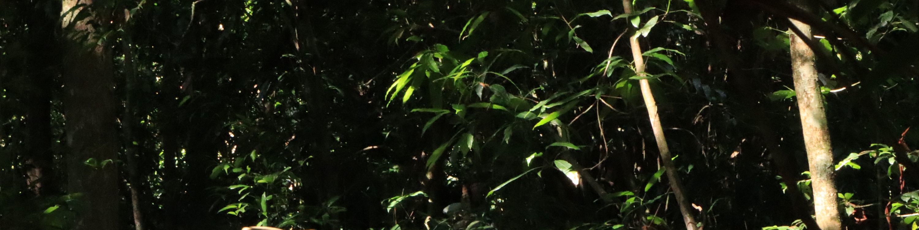 與當地專家同行,深入大自然,獲取獨到見解。 與當地專家同行,深入大自然,獲取獨到見解。