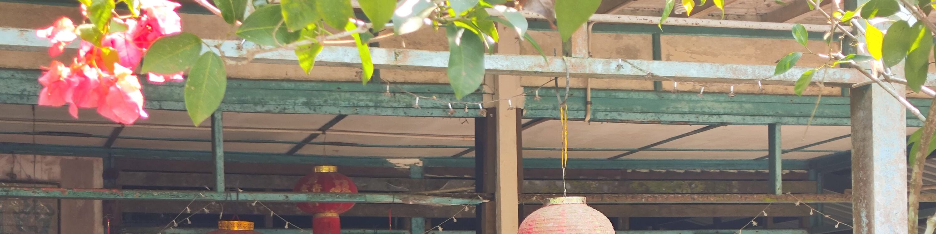 Roots & Flavours: A Pulau Ubin Discovery - Thumbnail 13