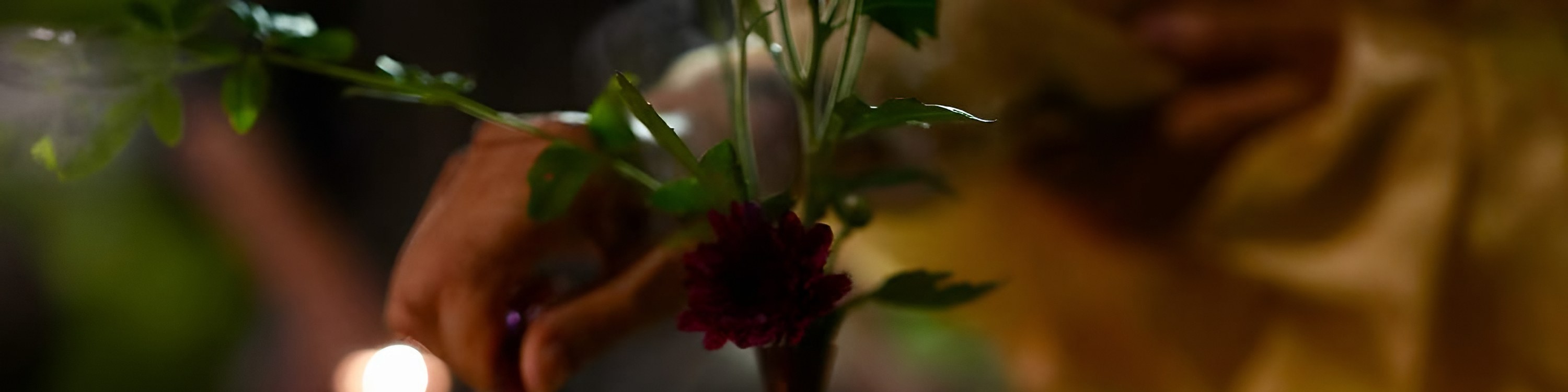 Shanghai Secret Garden Tea Experience -Near Pudong Airport - Thumbnail 24