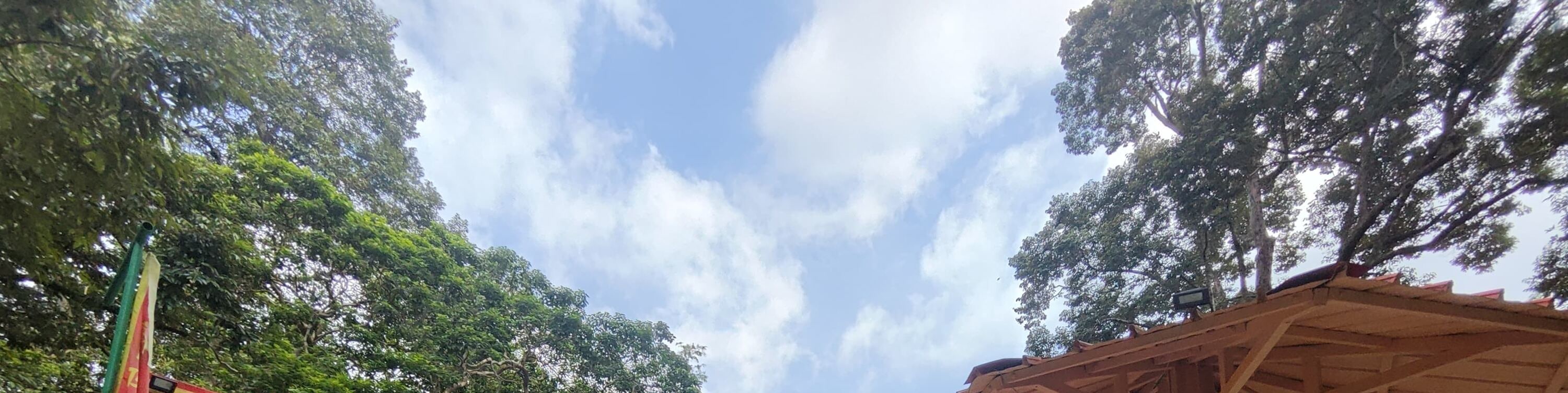 Roots & Flavours: A Pulau Ubin Discovery - Thumbnail 16