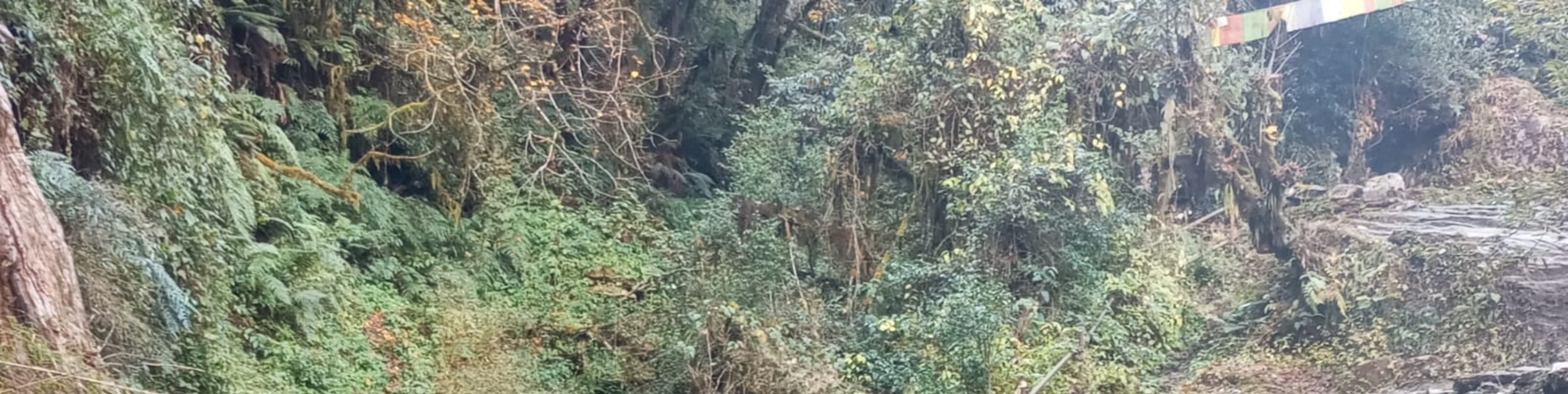 博卡拉：3天戈雷帕尼 - 蓬山 - 甘德魯克徒步之旅（含導遊）