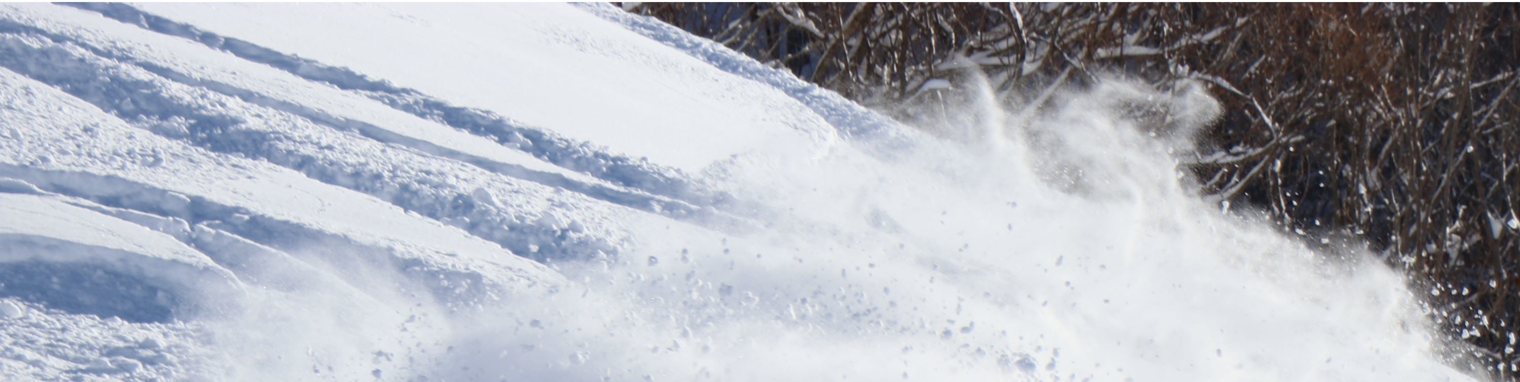 格蘭雪奧瑞吹滑雪體驗 (GRANSNOW OKUIBUKI Ski & Snowboarding Experience)