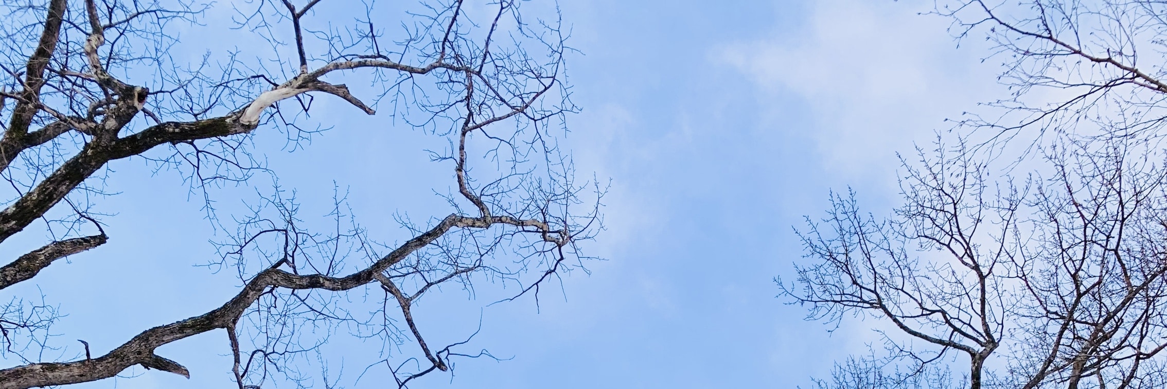 流星瀑布&銀河瀑布 流星瀑布&銀河瀑布