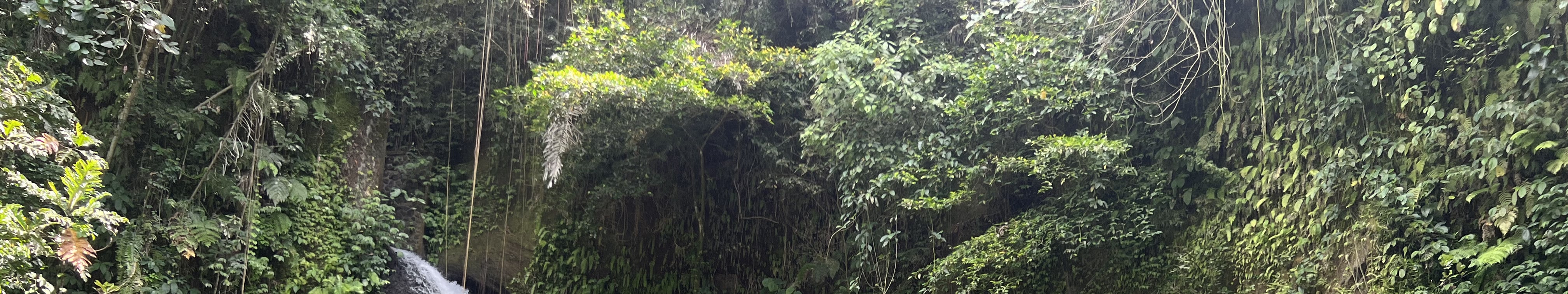 Bali Hidden Waterfalls Trip