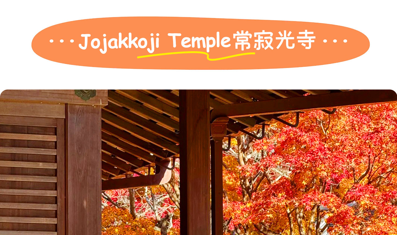 Kyoto Dream Illumination Autumn Foliage Day Tour - Kinkaku-ji & Arashiyama (Includes Night Maple Train - Departing from Osaka/Kyoto) - Thumbnail 7
